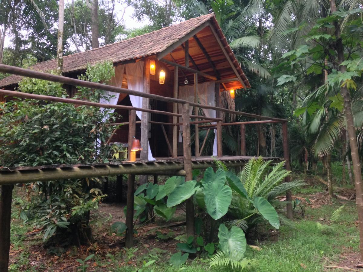 Glamping Mangarito Hotel Iporanga Ngoại thất bức ảnh